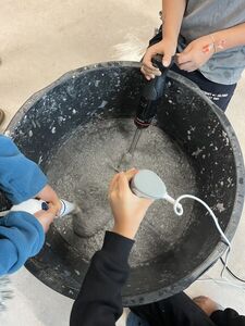 IMG 9966