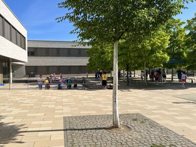 IMG 7261