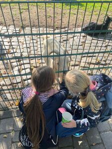 Ausflug Tierpark 4