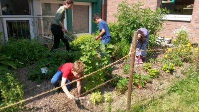 thumb Färbergarten14 1