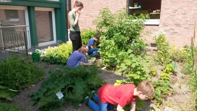 thumb Färbergarten14 2