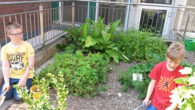 thumb Färbergarten14 3