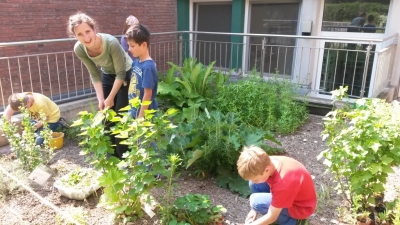 thumb Färbergarten14 5