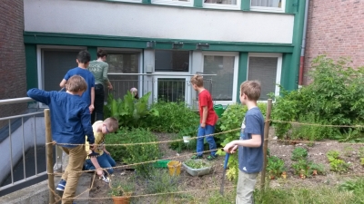 thumb Färbergarten14 7