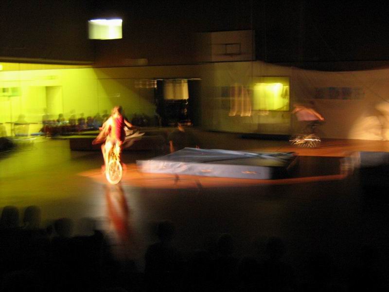 Zirkus 2010